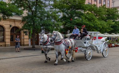 Krakow 'un ana meydanındaki ünlü at arabalarının resmi..