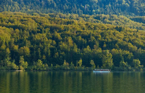 Une Photo Bateau Sur Lac Bohinj — Photo