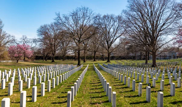 Picture Tombstones Arlington National Cemetery — Stock Photo, Image