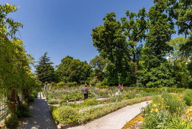 Zagreb Botanik Bahçesinin bir resmi.