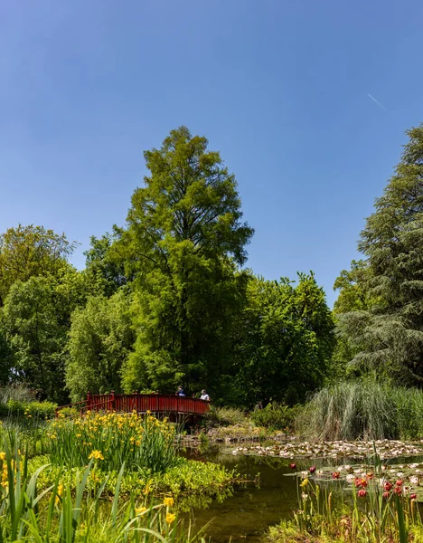 Zagreb Botanik Bahçesinin bir resmi.