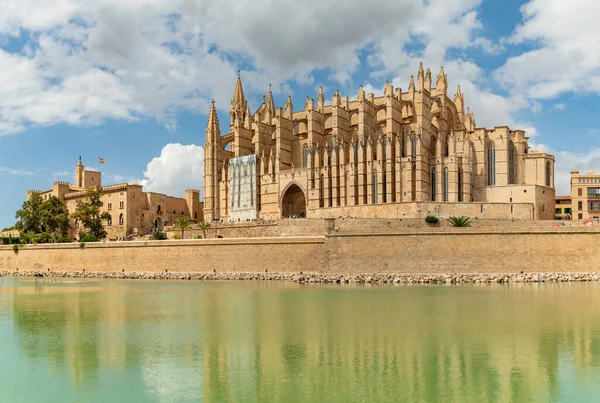 Palma Katedrali ve La Almudaina Kraliyet Sarayı 'nın bir resmi..