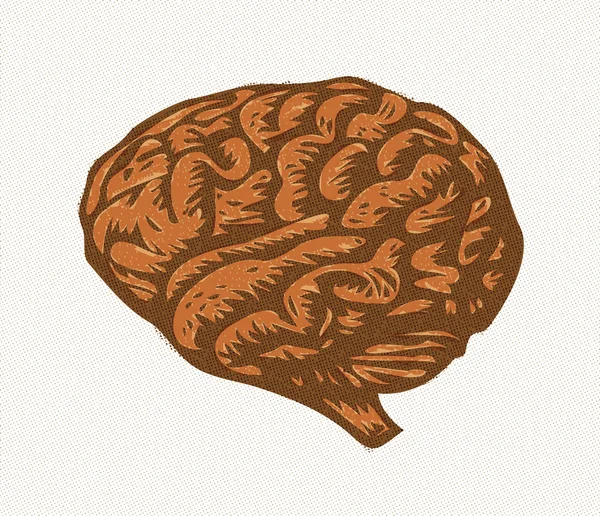 Cerebro, ilustración de medio tono — Vector de stock