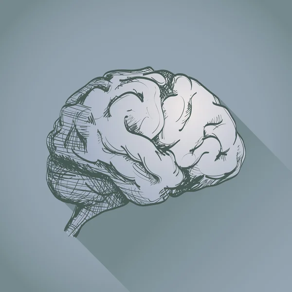 人脑 — 图库矢量图片