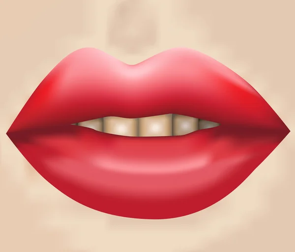 Τα χείλη της γυναίκας — Διανυσματικό Αρχείο