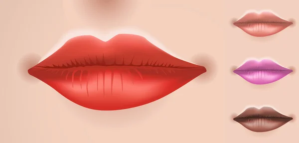 Los labios grandes de la mujer — Vector de stock