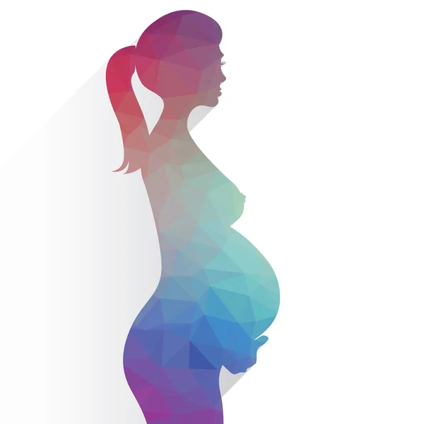 Femme enceinte — Image vectorielle