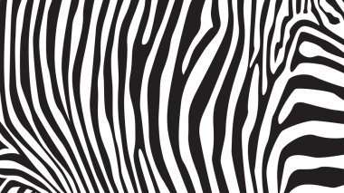Zebra çizgili desen