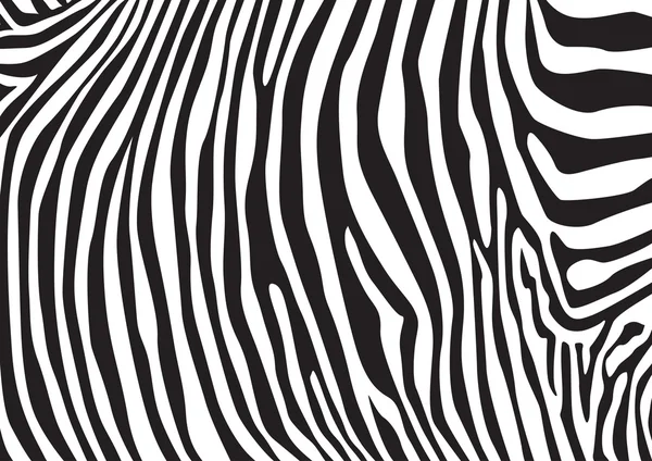 Zebra ränder mönster — Stock vektor