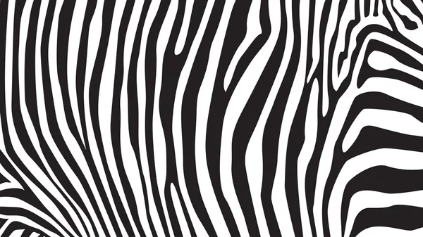 Padrão de listras zebra — Vetor de Stock