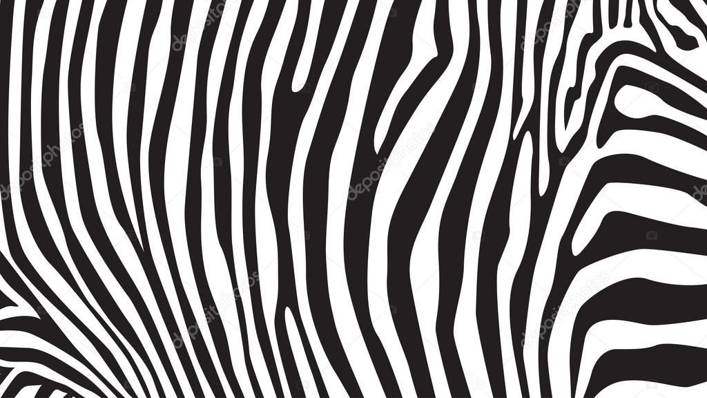 Zebra stripes pattern Stock Vector by ©i3alda 64505035