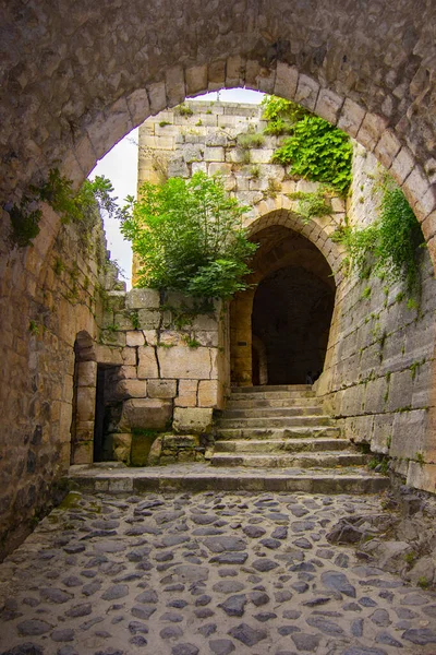 Krak Crac Des Chevaliers Που Ονομάζεται Επίσης Κάστρο Των Κούρδων — Φωτογραφία Αρχείου