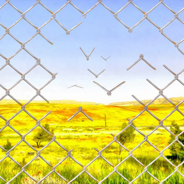 Chain Link Fence Transforming Wire Mesh Birds Flying Away Freedom — Stock Photo, Image
