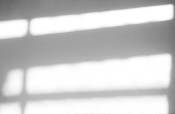 製品のプレゼンテーション 背景とモックアップ 夏の季節の概念上のオーバーレイのための白いテクスチャの背景にウィンドウの自然な影のオーバーレイ効果 — ストック写真