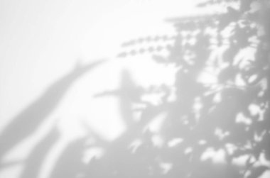 Gerçekçi ve organik tropikal yapraklar, ürün sunumu, arkaplan ve modelleme üzerine kaplama için, beyaz doku arka planı üzerinde doğal gölge etkisi bırakır