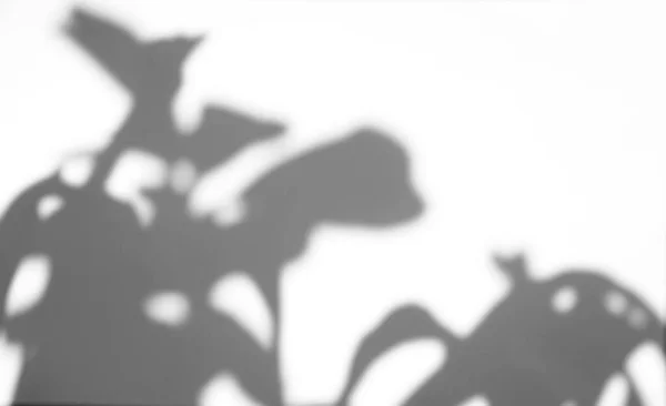 Realistische Bladeren Natuurlijke Schaduw Overlay Witte Textuur Achtergrond Voor Overlay — Stockfoto