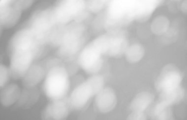 Ürün sunumu, arkaplan ve modelleme üzerine kaplama için, beyaz doku arka planı üzerine soyut Bokeh güneş ışığı doğal gölge örtüsü