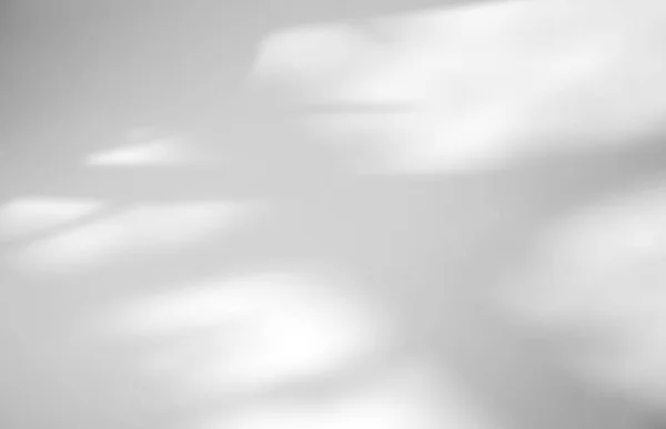 Листя Природної Тіні Накладаються Білий Фон Текстури Накладання Презентацію Продукту — стокове фото