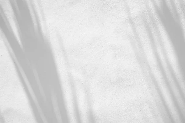 Листья Естественной Тени Накладываются Белый Текстурный Фон Наложения Презентацию Продукта — стоковое фото