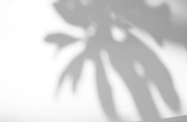 Natural leaves shadow overlay on white texture background, for overlay on product presentation, backdrop and mockup, summer seasonal concept