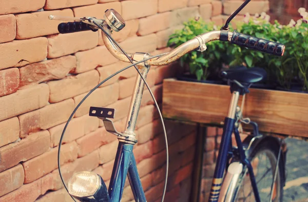 Old bicycle and flowers — Stock Photo, Image