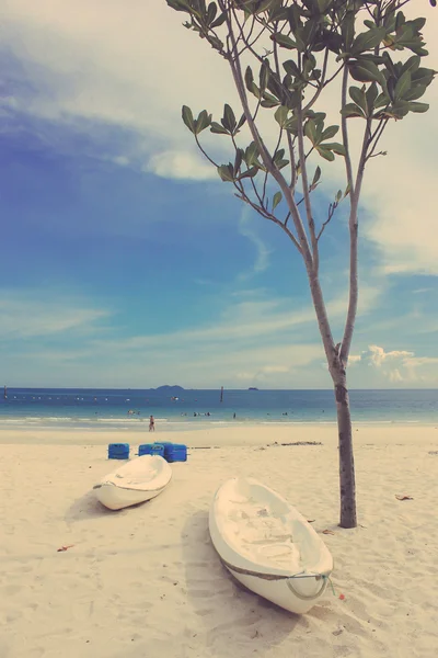 Tree and kayaks on beach — Stock Photo, Image