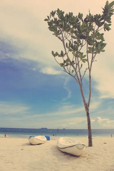 Tree and kayaks on beach — Stock Photo, Image