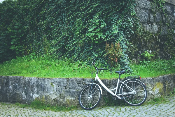 Modern Bicycle in park — Stock Photo, Image