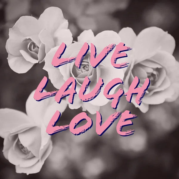 Live Laugh Love Citation — Photo