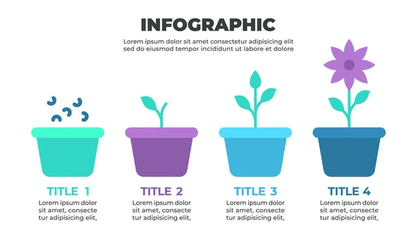 Bir bitkinin büyüme sürecini gösteren renkli bir bilgi grafiği, farklı büyüme aşamalarına sahip dört saksı tarafından temsil edilir.