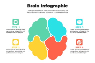 Yuvarlak renkli bölümleri olan organik beyin bilgileri ve açıklama için adım adım işaretleri.