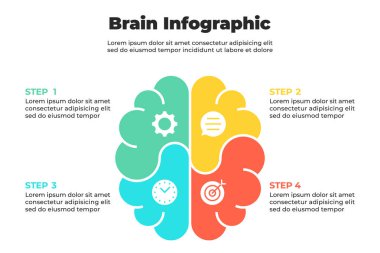 Yapılandırılmış bilişsel adımları temsil eden dengeli renk segmentleriyle simetrik beyin bilgileri
