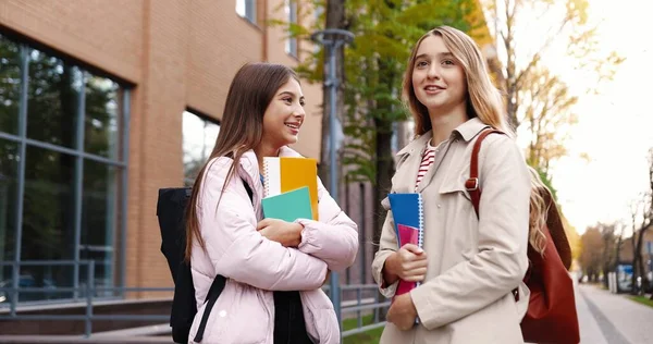 Retrato de belas alunas caucasianas em pé ao ar livre e conversando. Estudantes brincando com meninas e puxando suas tranças na rua. Colegas e amigos perto da faculdade. Conceito divertido — Fotografia de Stock