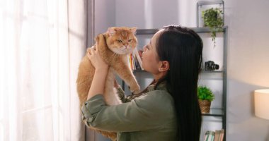 Güzel, şefkatli genç bir bayanın pencerenin yanındaki odada sevimli, tüylü bir kediyi tutuşu. Sahiplerinin kollarında rahatlamış sevimli hayvan, hayvan sever, arkadaş ve aile üyesi, kedi yavrusu konsepti