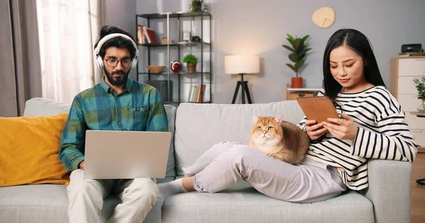 Glad ung asiatisk söt fru och hinduisk man vilar på soffan hemma med söt katt djur bläddrar på digitala prylar, man lyssnar på musik som arbetar på laptop medan asiatisk kvinna skriver på surfplatta — Stockfoto