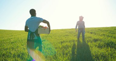 Çeşitli bahçıvanlar yeşil salata çiftliği yetiştirmek için ideal büyüyen sistemleri inceliyor ve keşfediyorlar. Sera uzmanı, tarım ve biyo tarım konsepti