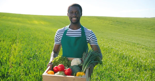 Retrato de fazendeiro macho multirracial caminhando pelo grande campo rural verde multi-colorido e carregando caixa com legumes. Homem orgulhoso. Conceito de agronegócio doméstico e agricultura biológica — Fotografia de Stock