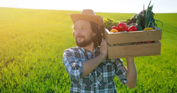 Retrato de fazendeiro masculino caucasiano caminhando pelo grande campo rural multicolorido verde e carregando caixa com legumes. Homem orgulhoso. Conceito de agronegócio doméstico e agricultura biológica — Fotografia de Stock