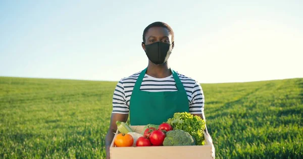 Retrato de fazendeiro macho multirracial caminhando pelo grande campo rural verde multi-colorido e carregando caixa com legumes. Homem orgulhoso. Conceito de agronegócio doméstico e agricultura biológica — Fotografia de Stock