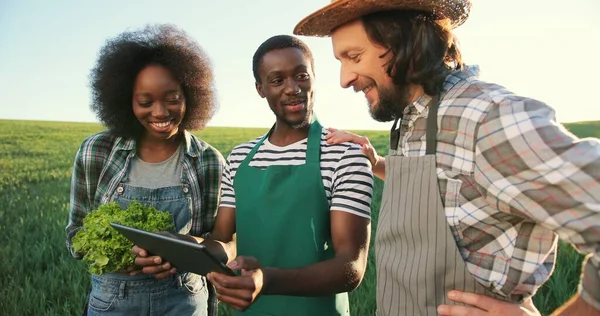 Groupe d'agriculteurs ou de technologues multiraciaux inspectant le processus sur le terrain tout en utilisant un ordinateur tablette pour l'ingénierie. Concept de coopération et d'agriculture — Photo