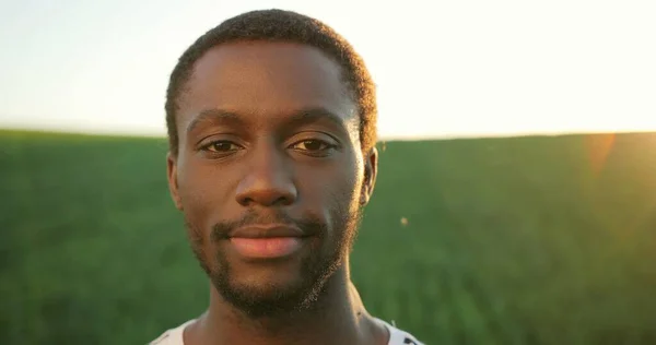 Un jardinier multiracial examine et montre à la caméra des tomates fraîches à la plantation verte. Expert en serres, concept d'agronomie et d'agriculture biologique — Photo