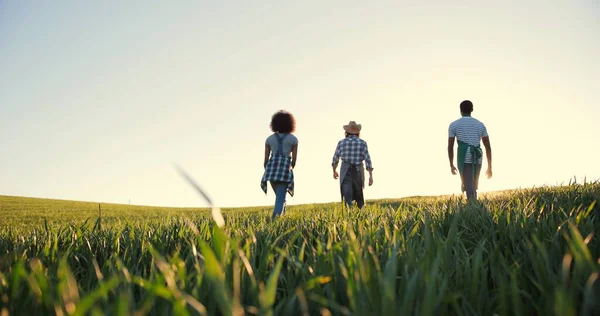 Rückansicht des Landwirtschaftsingenieurs, der junge Praktikanten in landwirtschaftlichen Technologien coacht. Reifer Spezialist, der seinen Kollegen etwas erzählt. Ernte außerhalb der Saison und agronomisches Konzept — Stockfoto