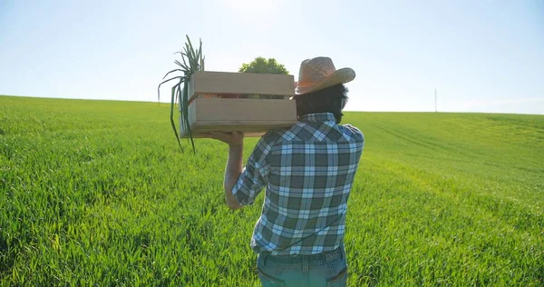 Portrait of caucasian professional farm owner wearing uniform carrying box while working on ecological field cultivation plantation. Farmer and gardener concept — Stock Photo, Image