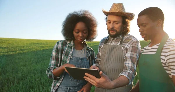 Groupe d'agriculteurs ou de technologues multiraciaux inspectant le processus sur le terrain tout en utilisant un ordinateur tablette pour l'ingénierie. Concept de coopération et d'agriculture — Photo