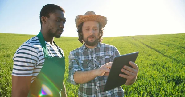 Diverse männliche Ingenieure nutzen ein digitales Tablet, während sie die Errichtung eines Biohofes inspizieren. Vielfältige Bauern. Kaukasisch und multirassisch. Agronomisches Konzept — Stockfoto