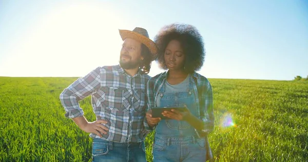 Caucasian male and multiracial female engineers using digital tablet while inspecting greenhouse organic farm business construction. Diverse farmers. Man and woman. Agronomy concept — Stock Photo, Image