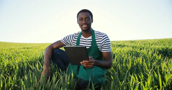 Çevresel organik tarım bahçesinde yeşil ekinleri incelerken tablet bilgisayar uygulamalarına göz atan çok ırklı genç çiftçi adam. — Stok fotoğraf