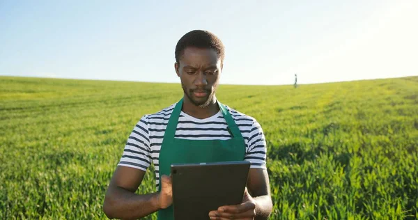 Multiracial attractive young man farmer expert browsing tablet computer applications while examining green crops at the field walking at the ecological organic farm garden — Stock Photo, Image