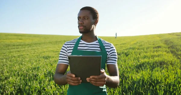 Agriculture technology of quality control. Multiracial worker monitoring harvest growth progress via tablet. Data collection and analysing by artificial intelligence. Future agro crops concept — Stock Photo, Image