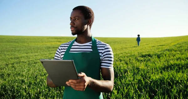 Agriculture technology of quality control. Multiracial worker monitoring harvest growth progress via tablet. Data collection and analysing by artificial intelligence. Future agro crops concept